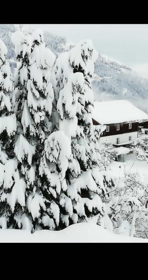 Fruehstueckspension Alpenrose Bed & Breakfast Iselsberg 외부 사진